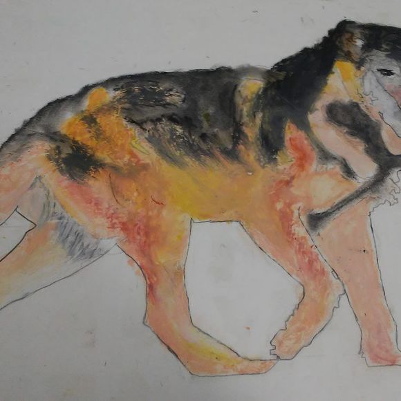 Meet your Posher, Fayyad - Picture 1 of 1